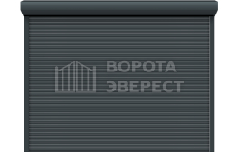 Рольставни гаражные ворота Дорхан 2600×2100 ВЭ-1863